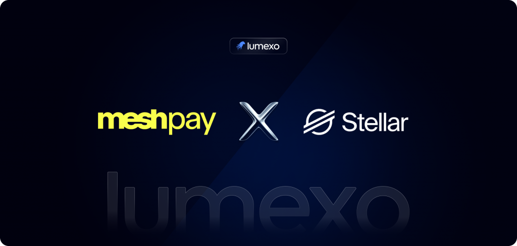Stellar blockchain stablecoin payments